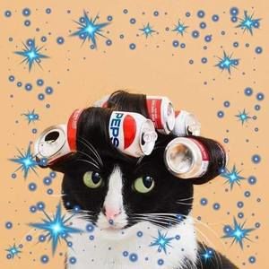 Meet your Posher, Fumie